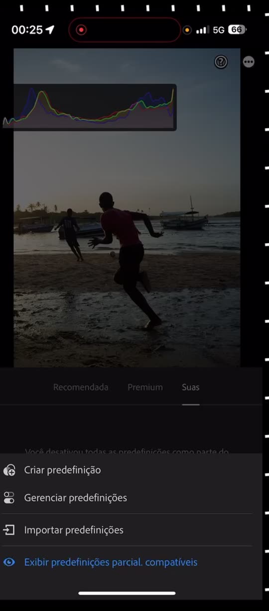 Menu de predefinições do Lightroom Mobile com a opção Importar predefinições