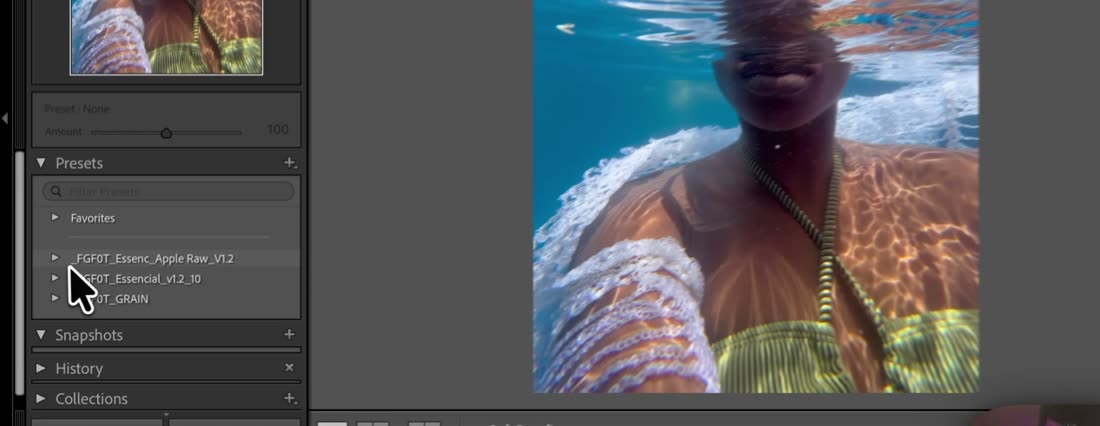 Painel de presets do Lightroom Classic com os grupos importados